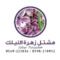 IMG_3438 IMG_3438